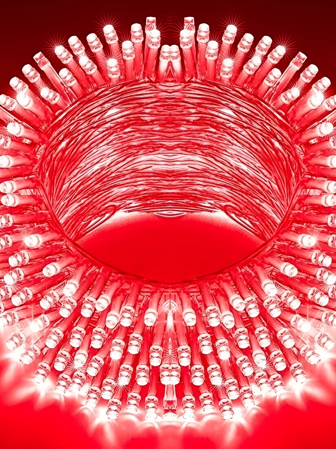 

SPARK WORLD Red LED String Lights