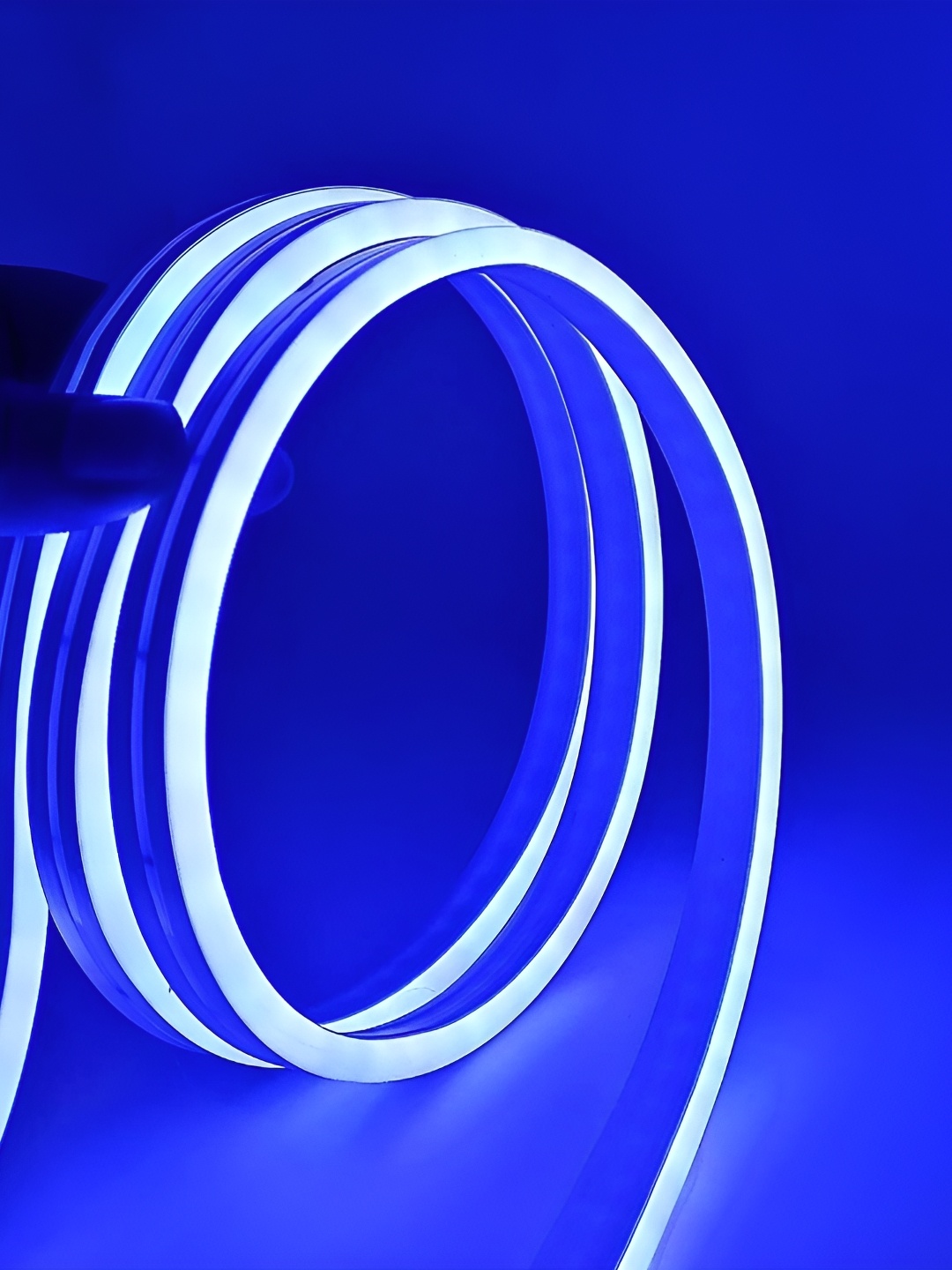 

SPARK WORLD Blue LED String Lights