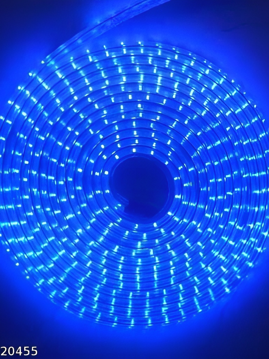 

SPARK WORLD Blue Rice Shape Rope String Lights