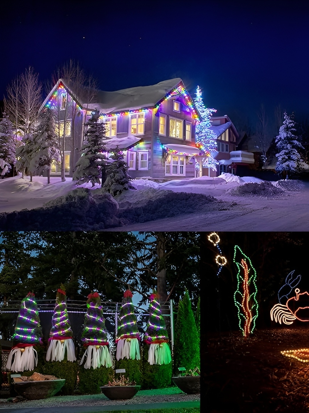 

SPARK WORLD Red & Blue LED String Lights