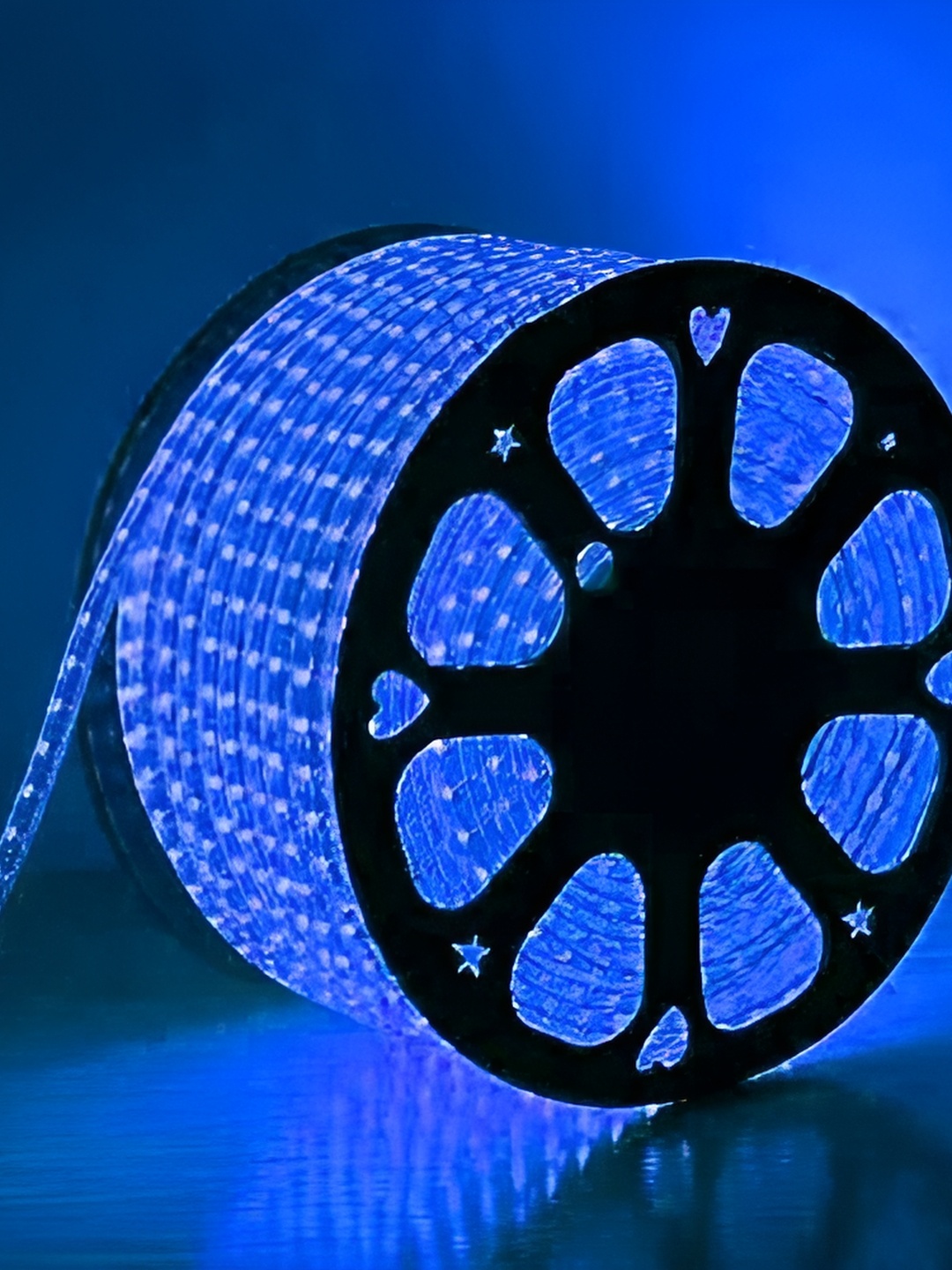 

SPARK WORLD Blue LED String Lights