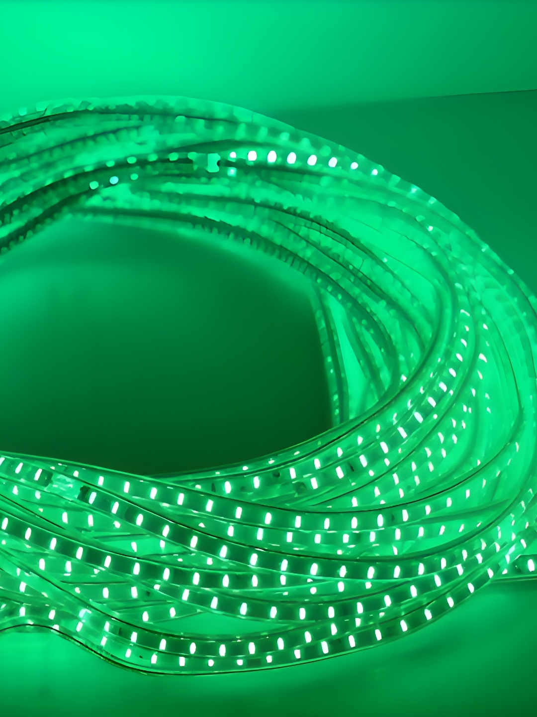 

SPARK WORLD Green Rope String Lights