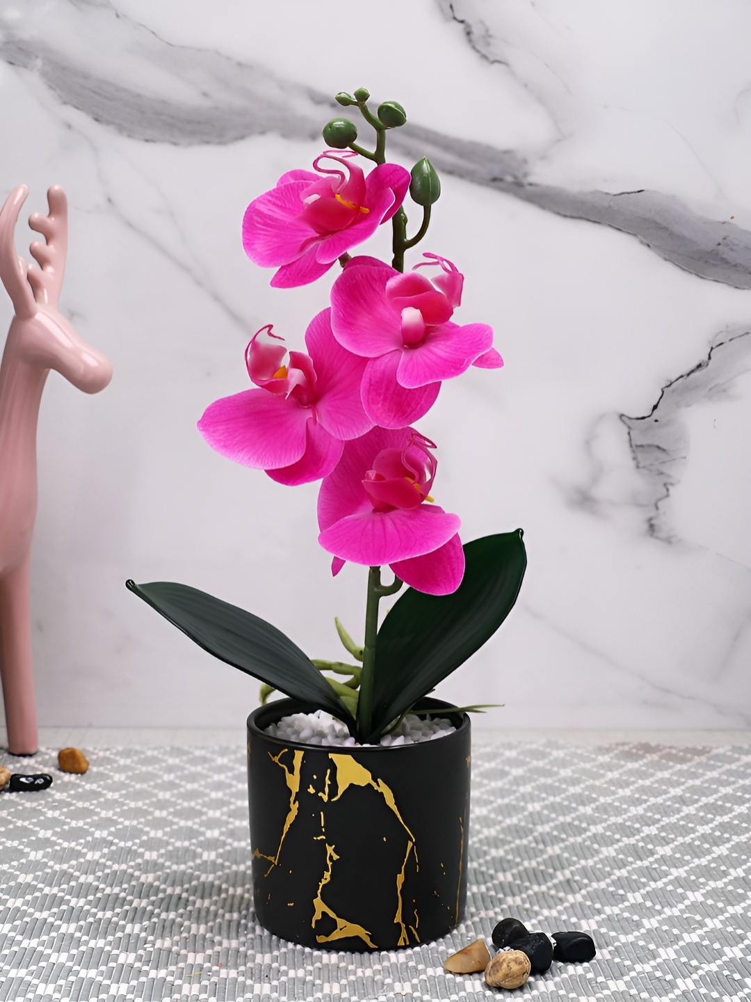 

TAYHAA Pink & Black Orchid Artificial Flower With Pot
