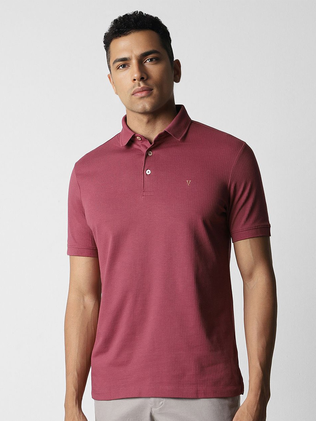 

Van Heusen Regular Fit Polo Collar Short Sleeves T-shirt, Pink