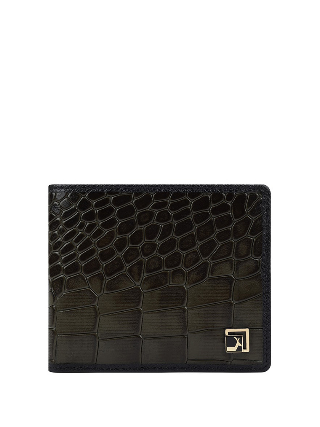 

Da Milano Men Textured Leather Two Fold Wallet, Green