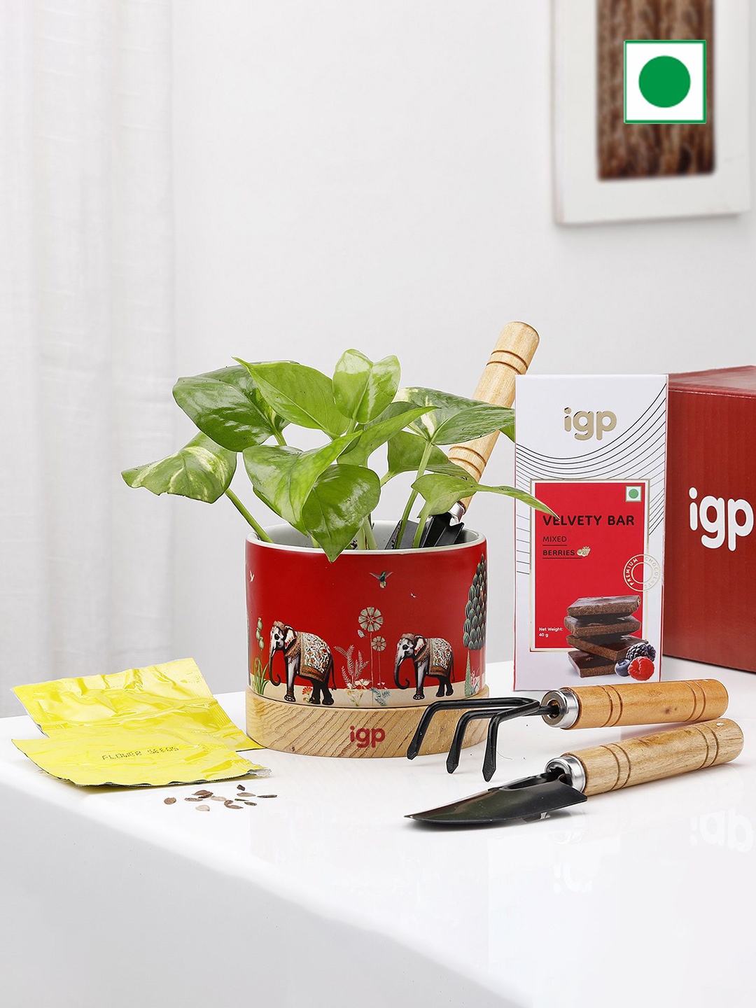 

IGP Plant Lovers Paradise Hamper, Red