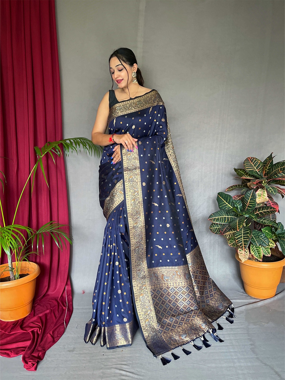 

DEVATITHI Woven Design Zari Banarasi Saree, Navy blue