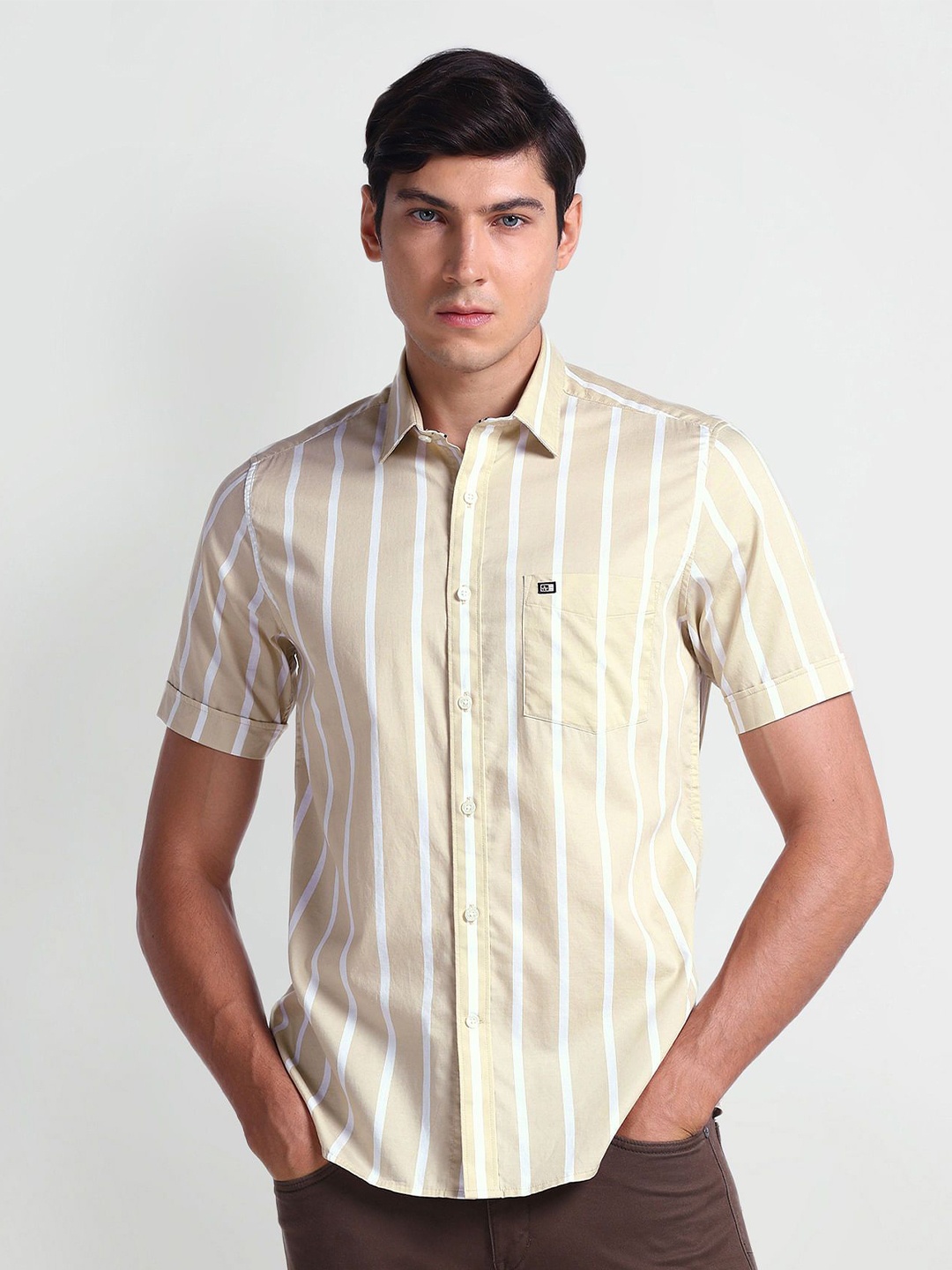 

Arrow Sport Striped Cotton Casual Shirt, Beige