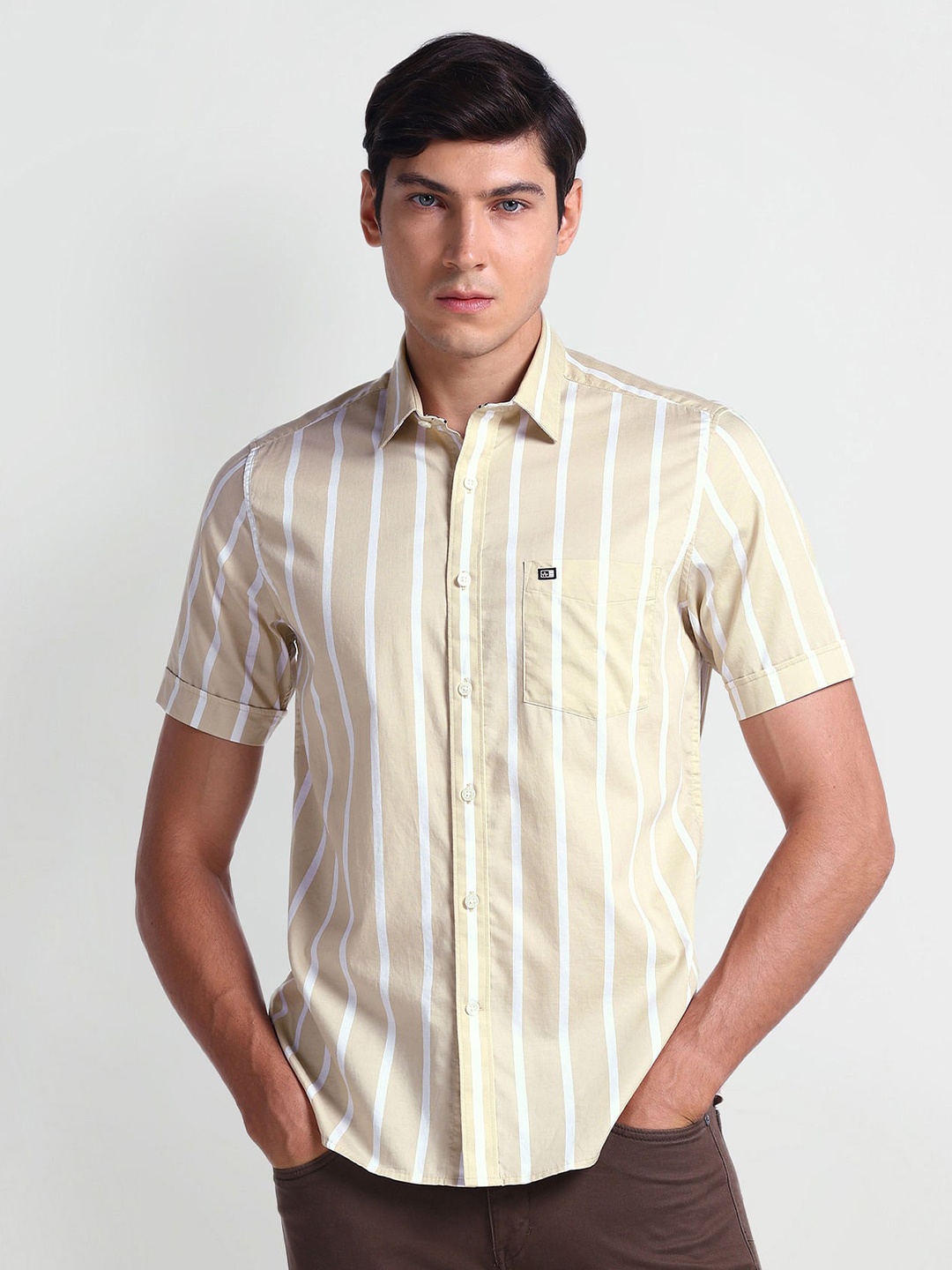 

Arrow Sport Vertical Striped Twill Cotton Casual Shirt, Beige