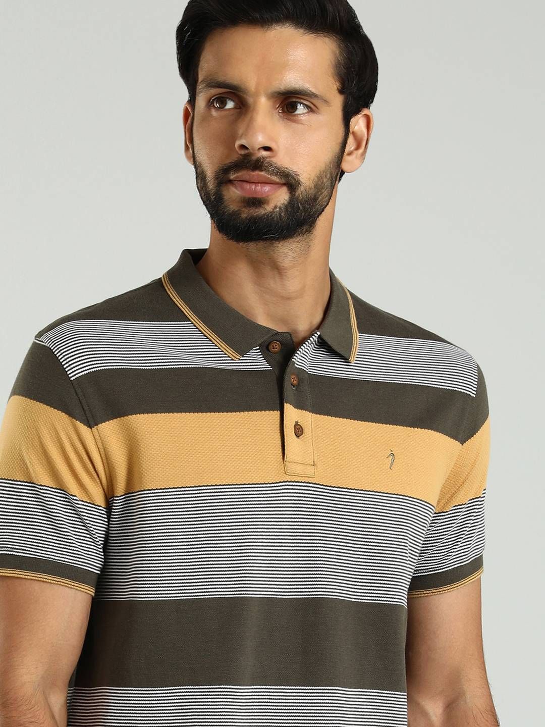 

Indian Terrain Striped Polo Collar Cotton T-shirt, Green