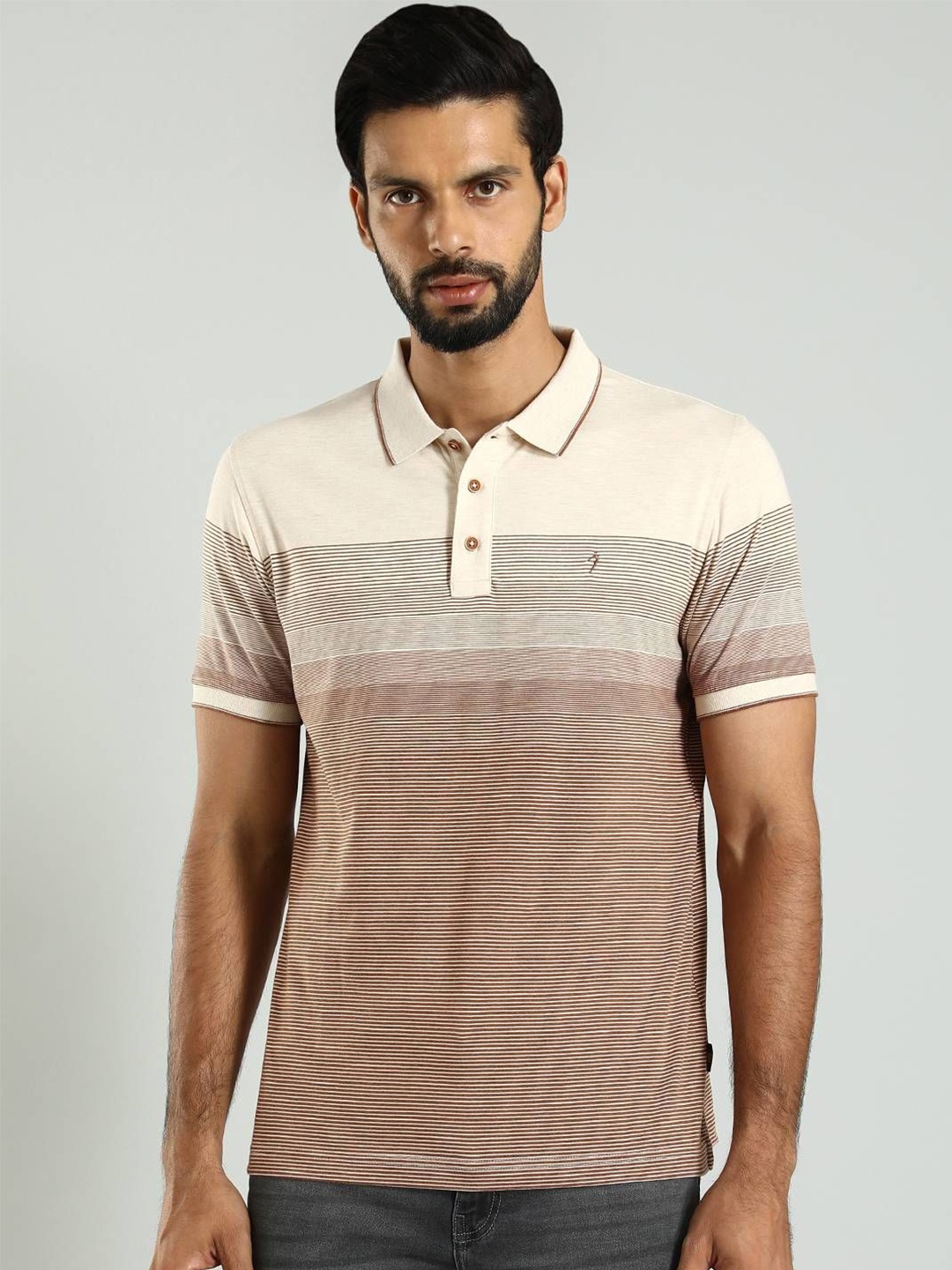 

Indian Terrain Colourblocked Polo Collar Cotton T-shirt, Brown
