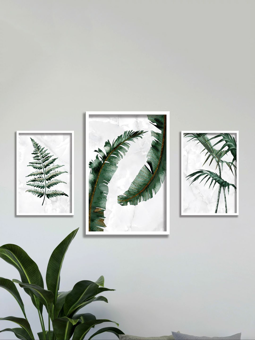 

Aura White & Green 3 Pieces Floral And Botanical Wall Arts