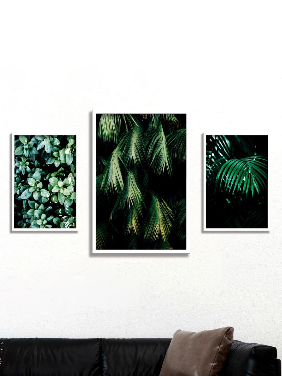 

Aura Green & Black 3 Pieces Floral And Botanical Wall Arts