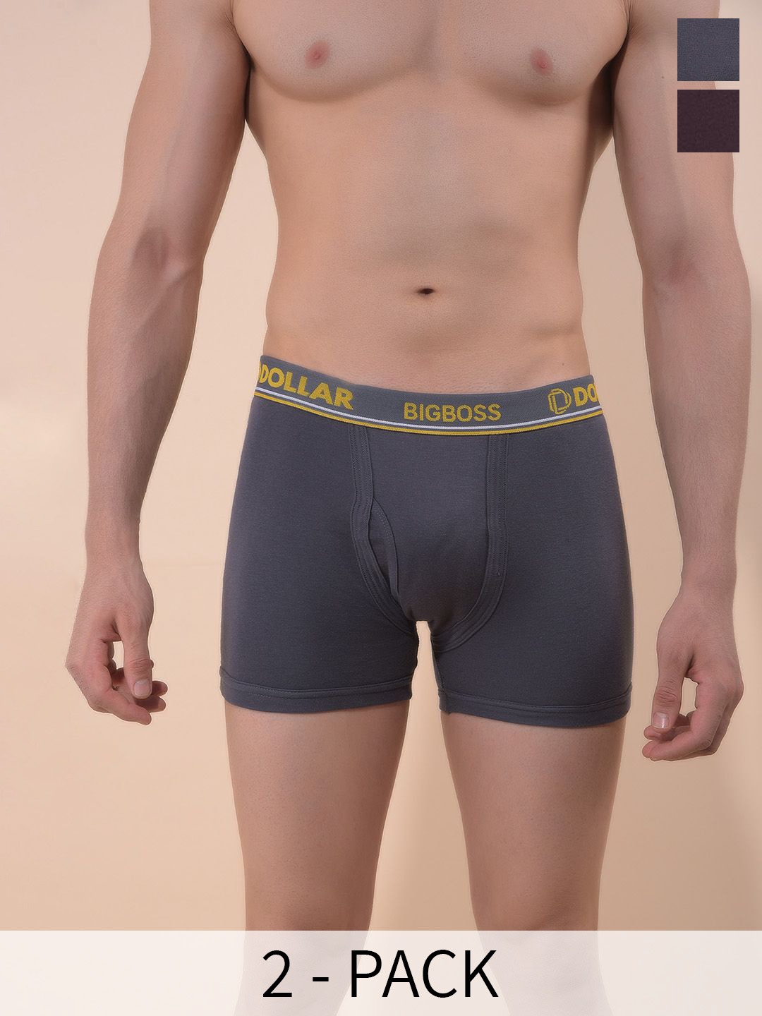 

Dollar Bigboss Pack Of 2 Assorted Interlock Trunk- MBTR-04-INTRSCD-PO2-CO3-S24
