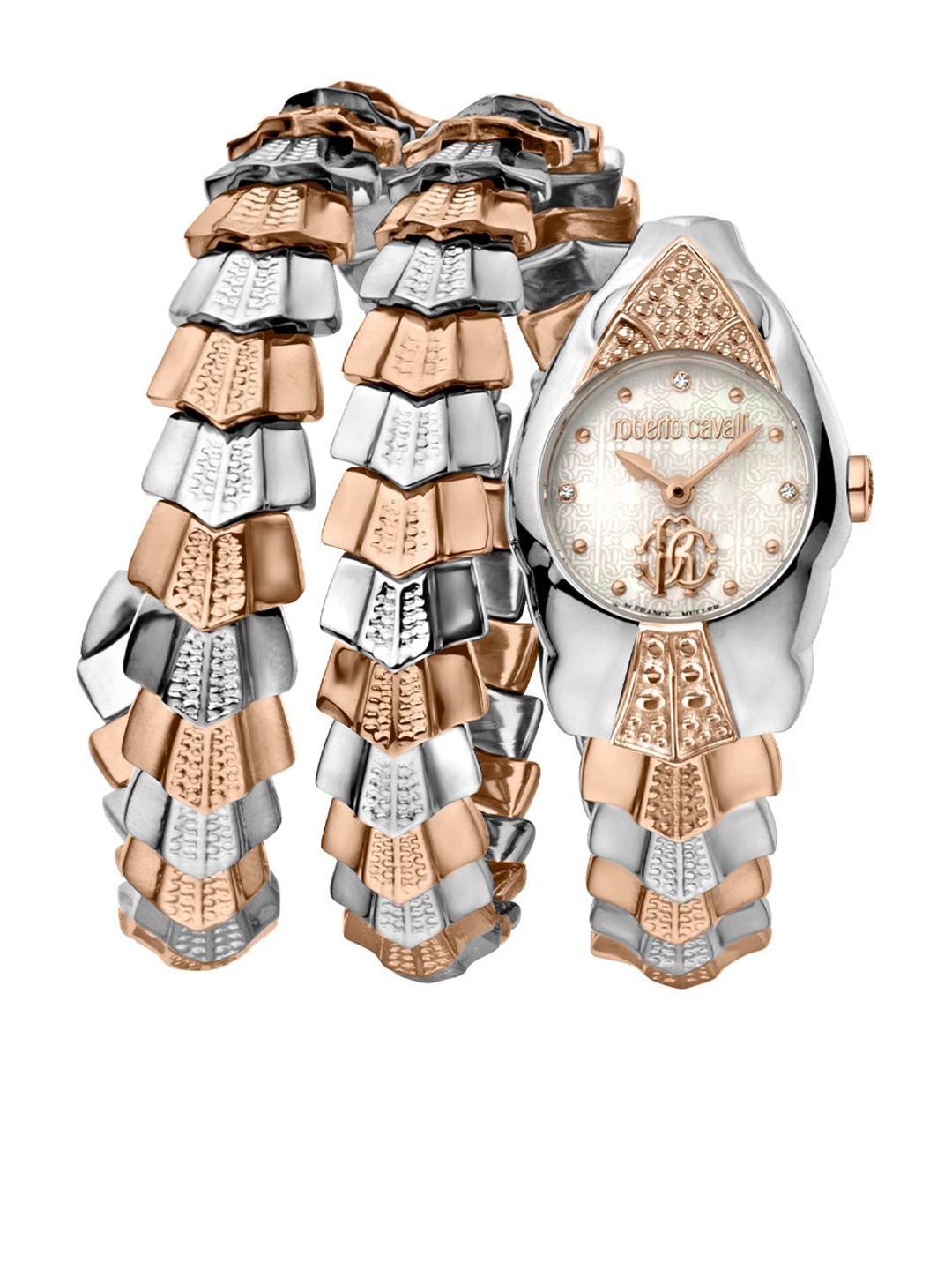 

Roberto Cavalli by Franck Muller Women Dial & Stainless Steel Bracelet Style Straps Analogue Automatic Watch, Multi
