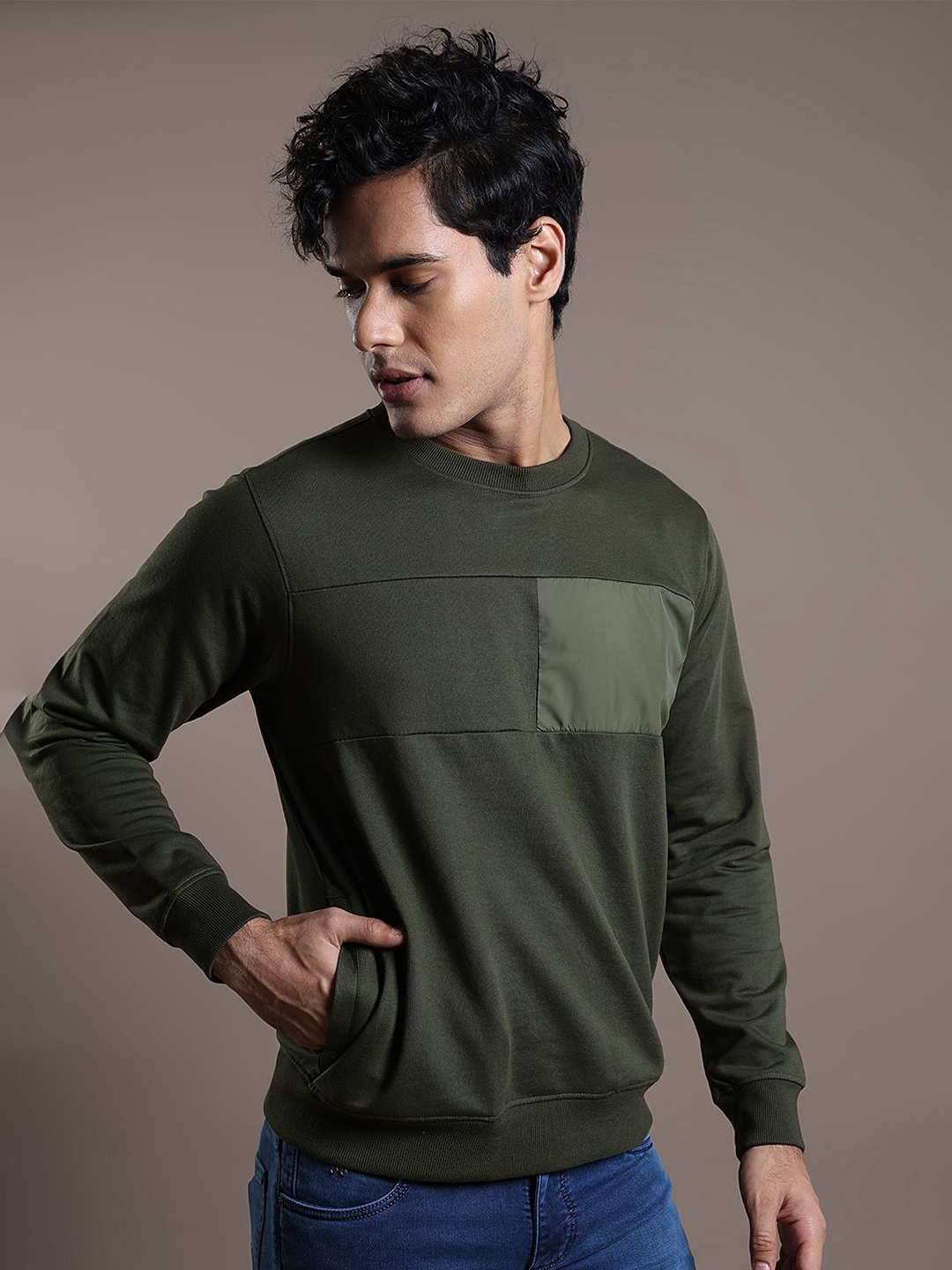 

Turtle Round Neck Long Sleeves Cotton Pullover Sweatshirt, Olive