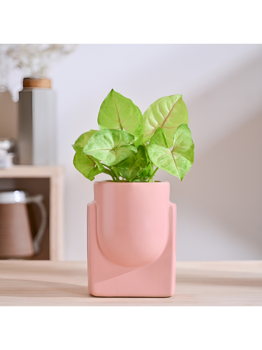 

UGAOO Pink Non-fading Ceramic Planter