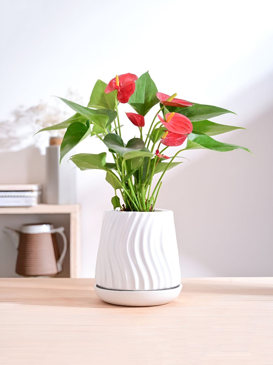 

UGAOO Fallen Angel White Textured Weather Resistant Ceramic Planter