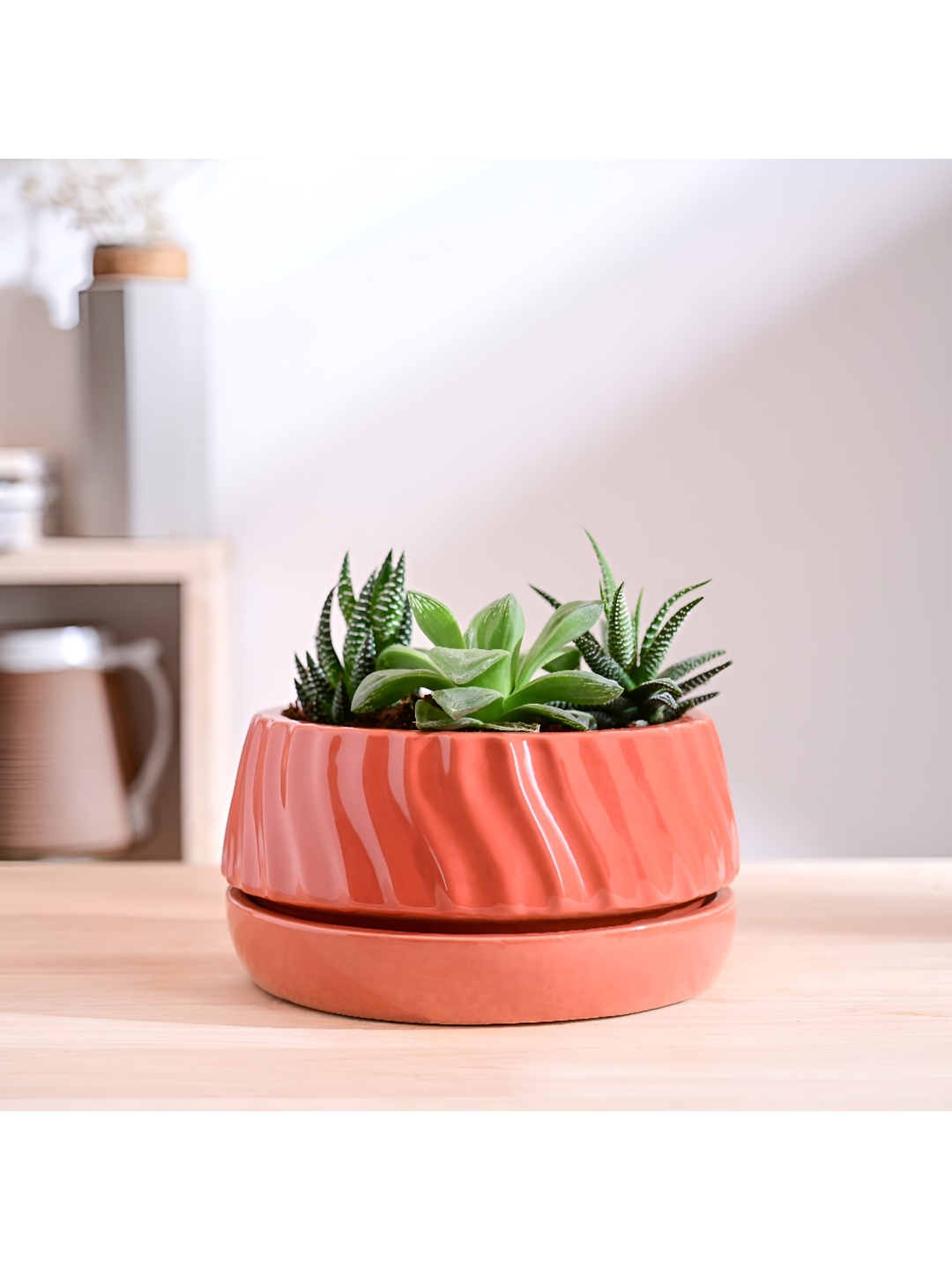 

UGAOO Coral Textured Abstract Shaped Ceramic Planter