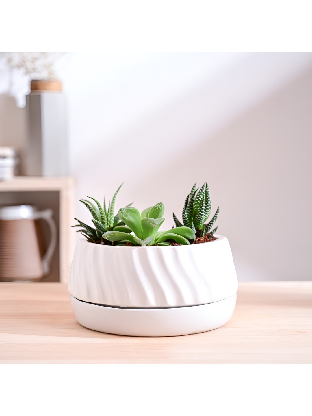 

UGAOO White Textured Ceramic Planter