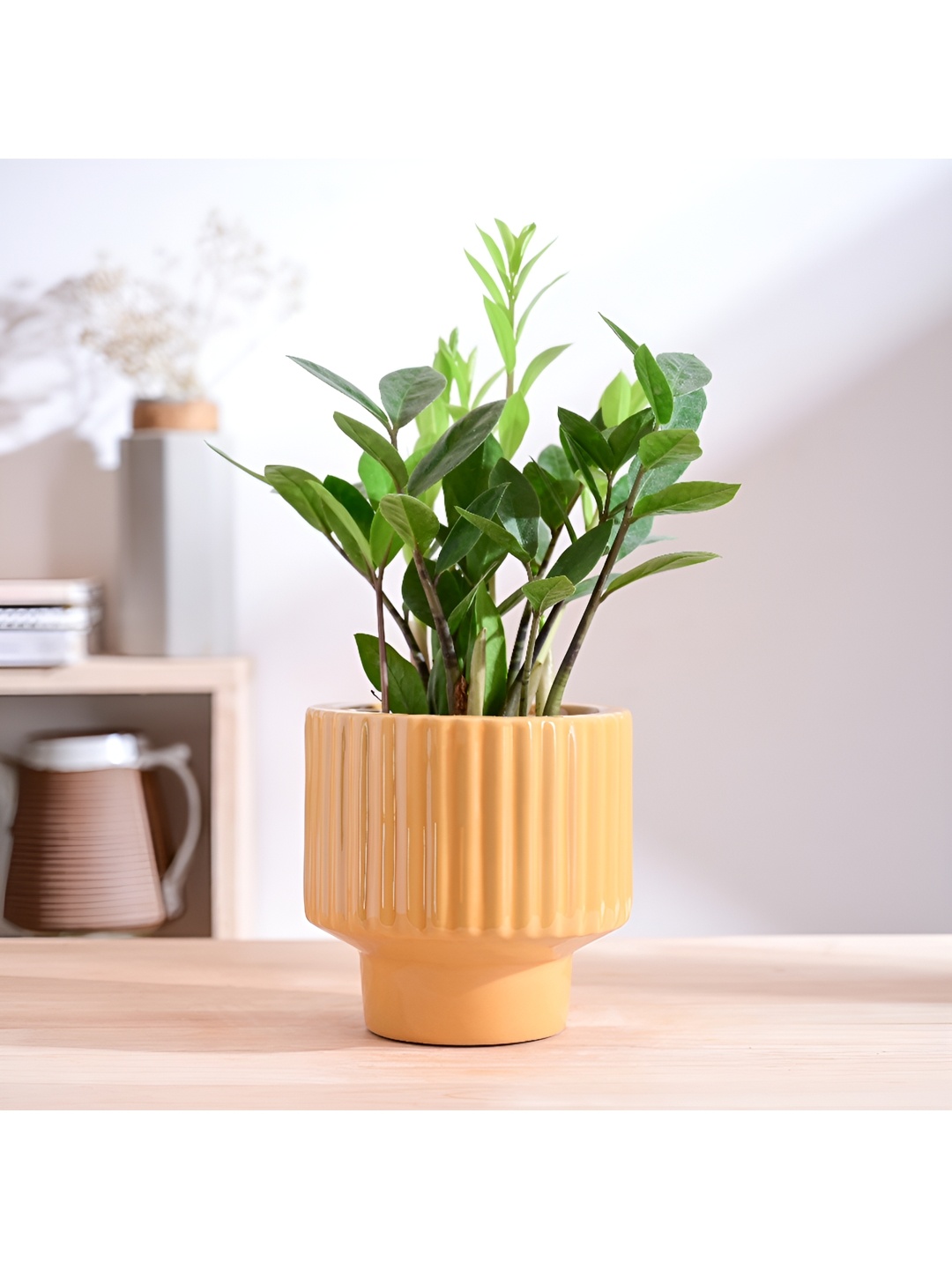 

UGAOO Camel Brown Textured Abstract Shaped Ceramic Planter