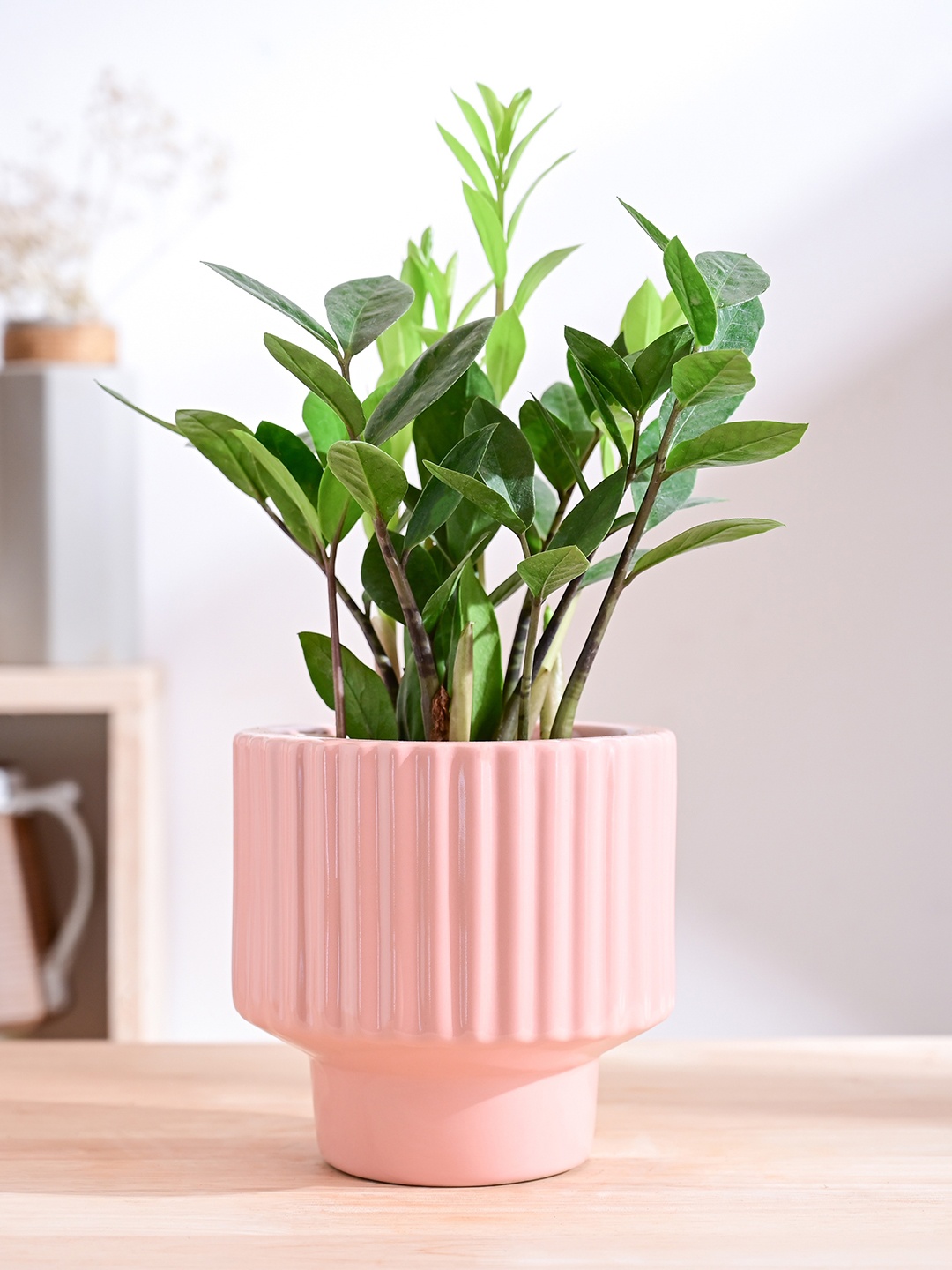 

UGAOO Forms of Love Pink Textured Ceramic Planter