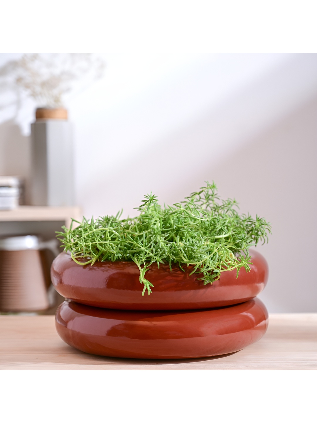 

UGAOO Brown Abstract Shaped Ceramic Planter