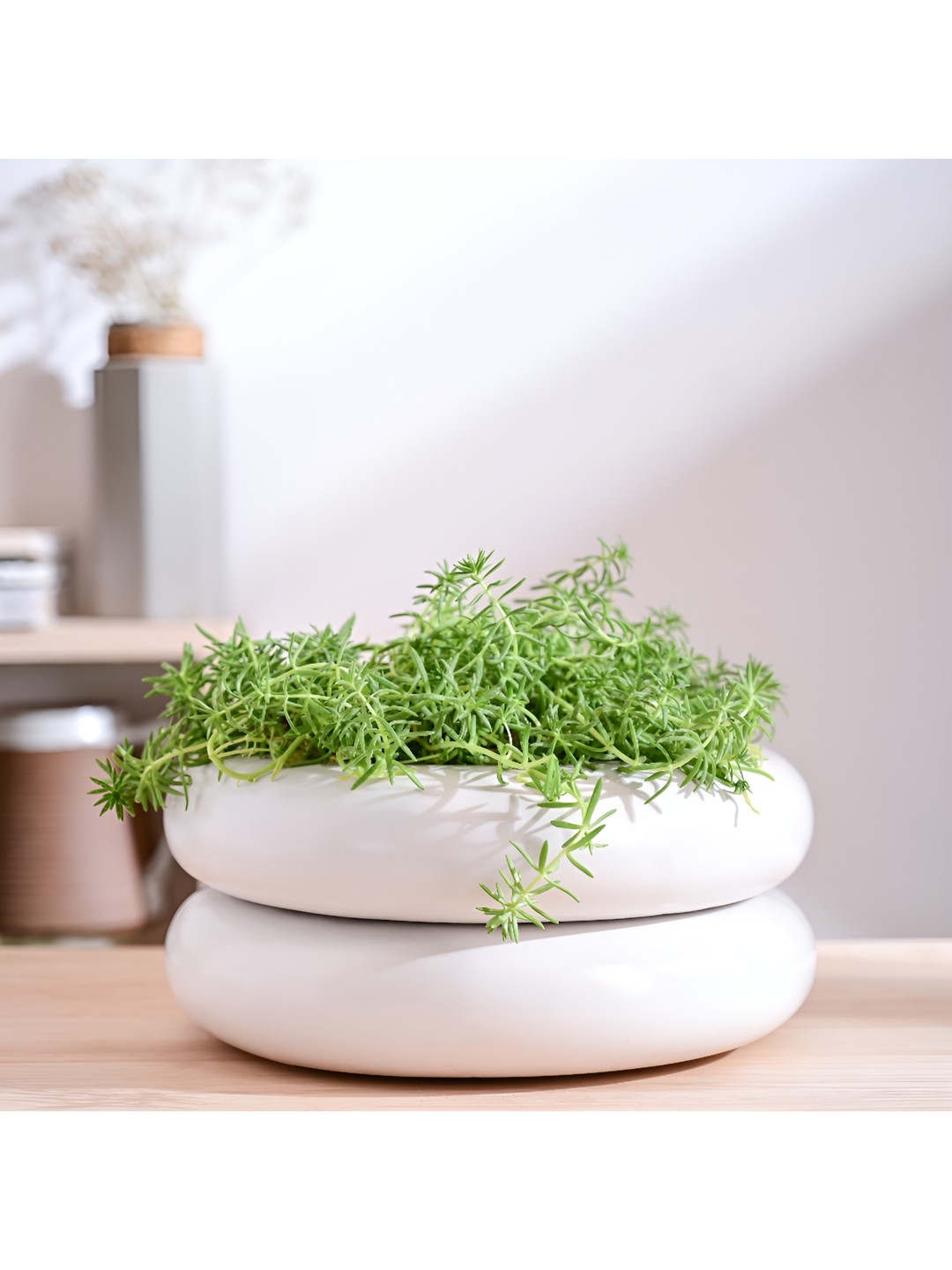 

UGAOO White Tiny Kisses Double Ceramic Planter