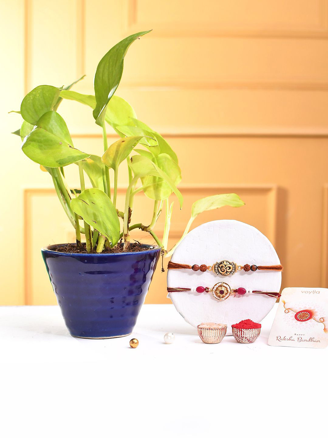 

Voylla Pack Of 2 Traditional And Divine Motifs Thread Rakhi With Money Plant, Blue