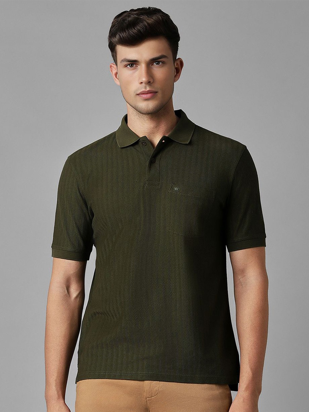 

Louis Philippe Men Polo Collar Solid T-shirt, Olive