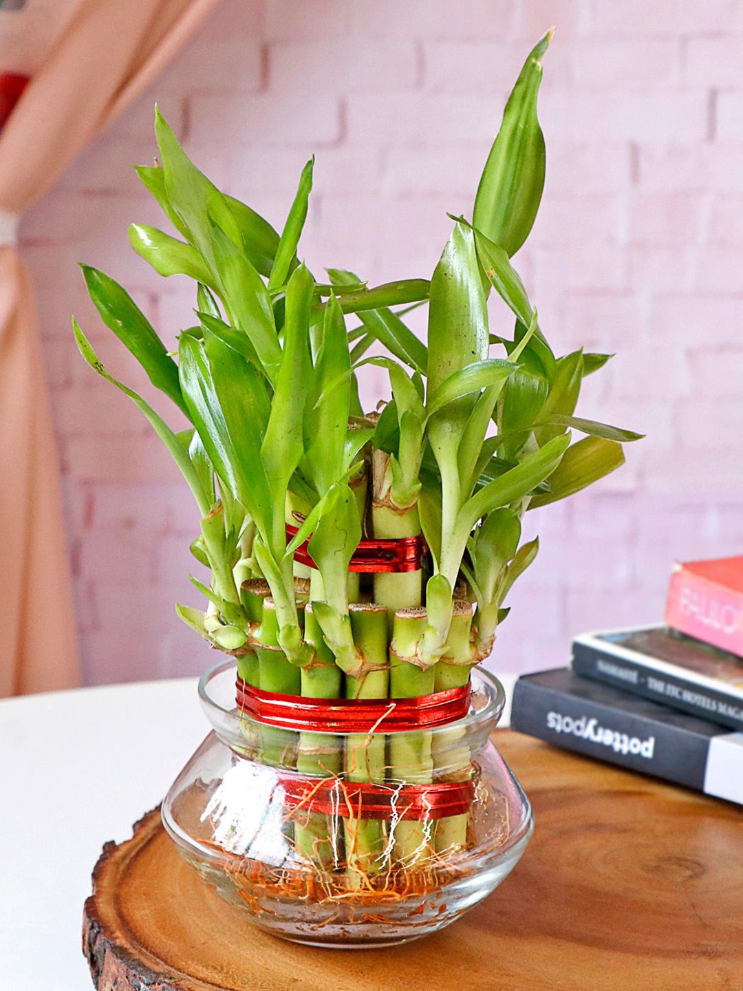 

IGP Lucky Bamboo In Mini Bowl Glass Vase- 7In, Green