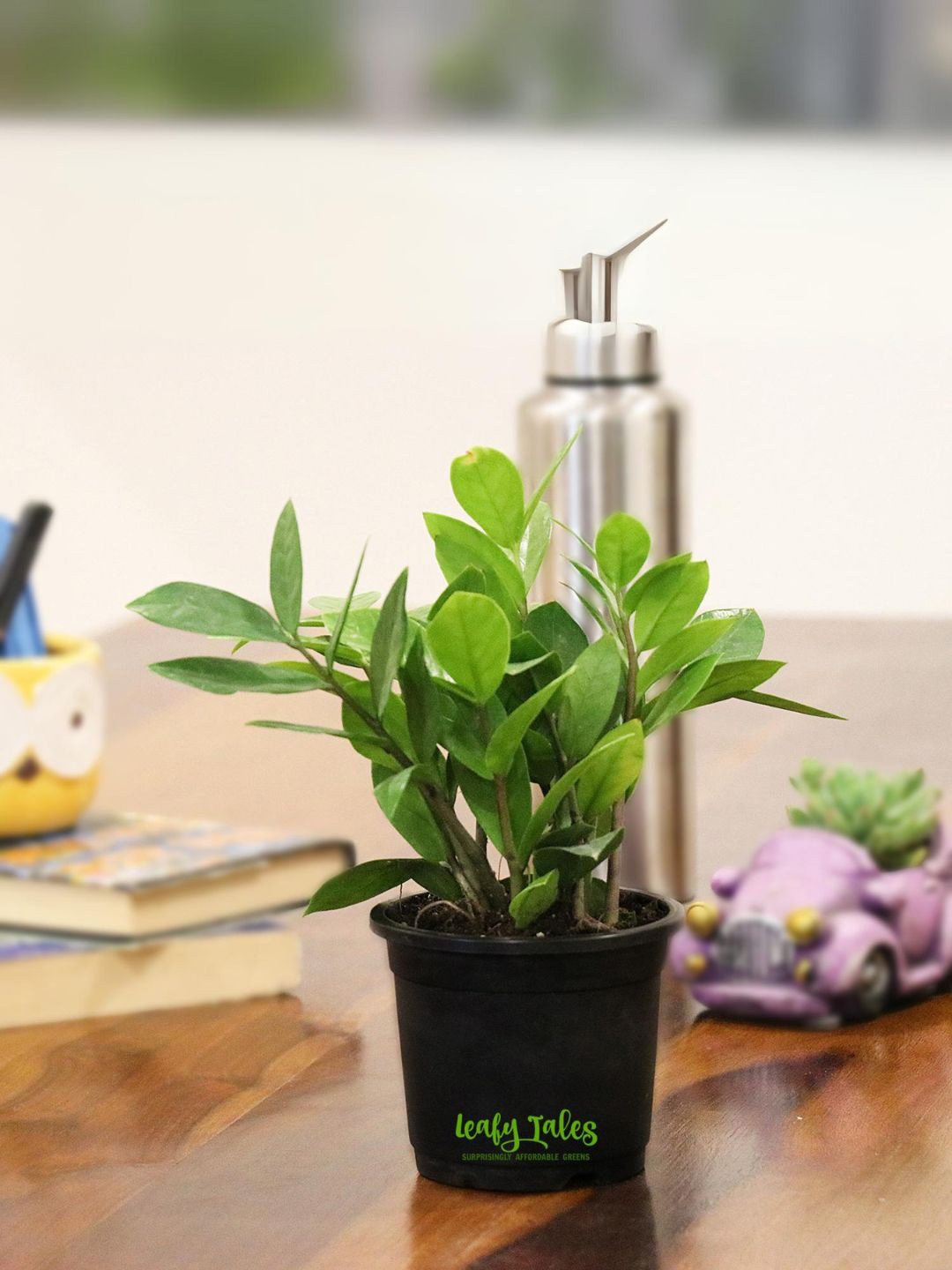 

Leafy Tales Indoor Plant with Pot, Green