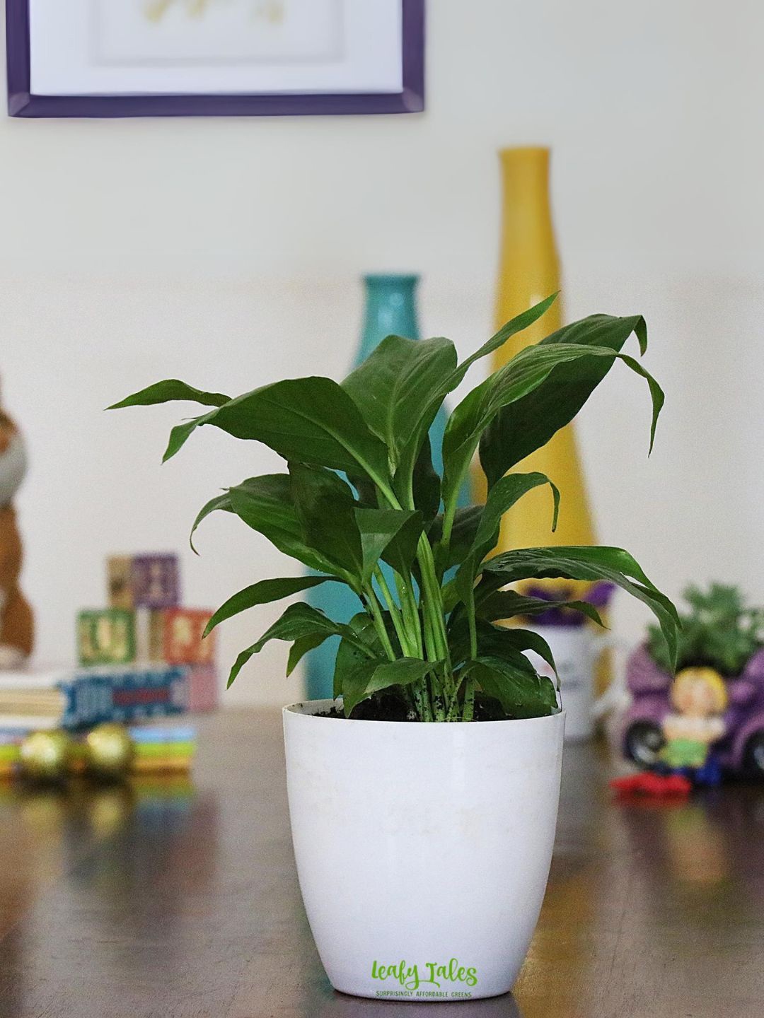 

Leafy Tales Unisex Green Live Plants