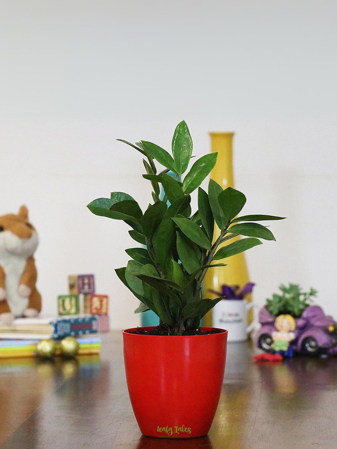 

Leafy Tales Indoor Live Plant with Pot, Green