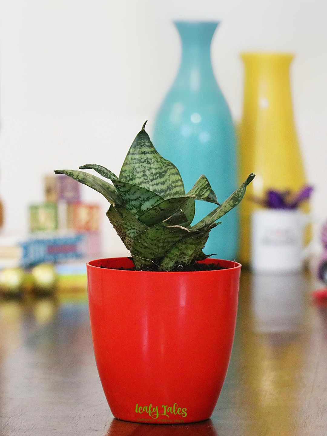 

Leafy Tales Snake Small Plants With Pot, Green