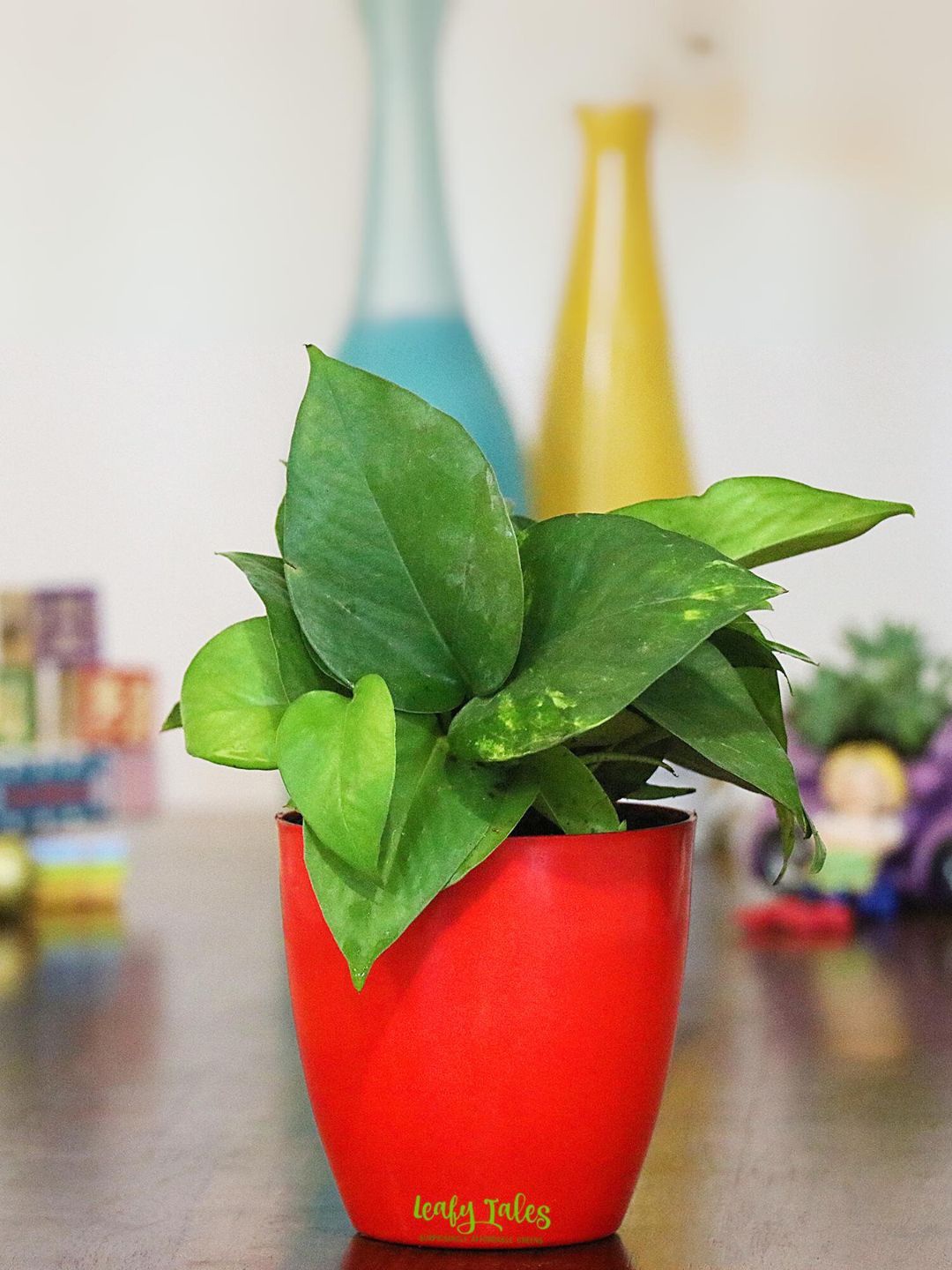 

Leafy Tales Money Plant With Pot, Green
