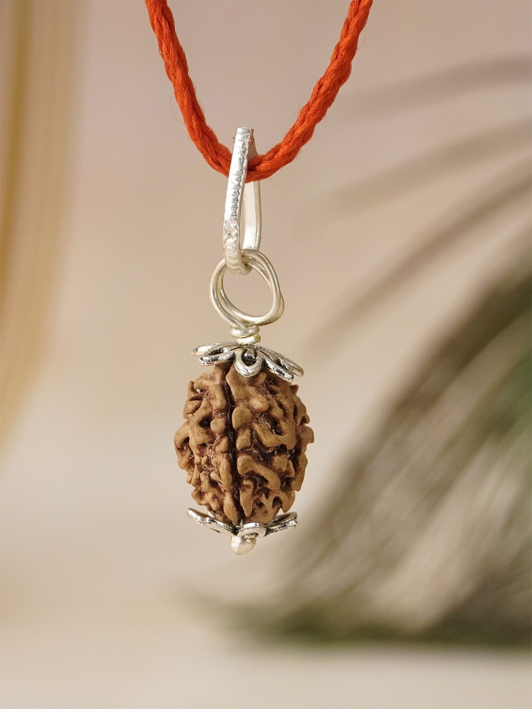 

Japam 3 Mukhi Nepali Rudraksha - Teen Mukhi, Brown