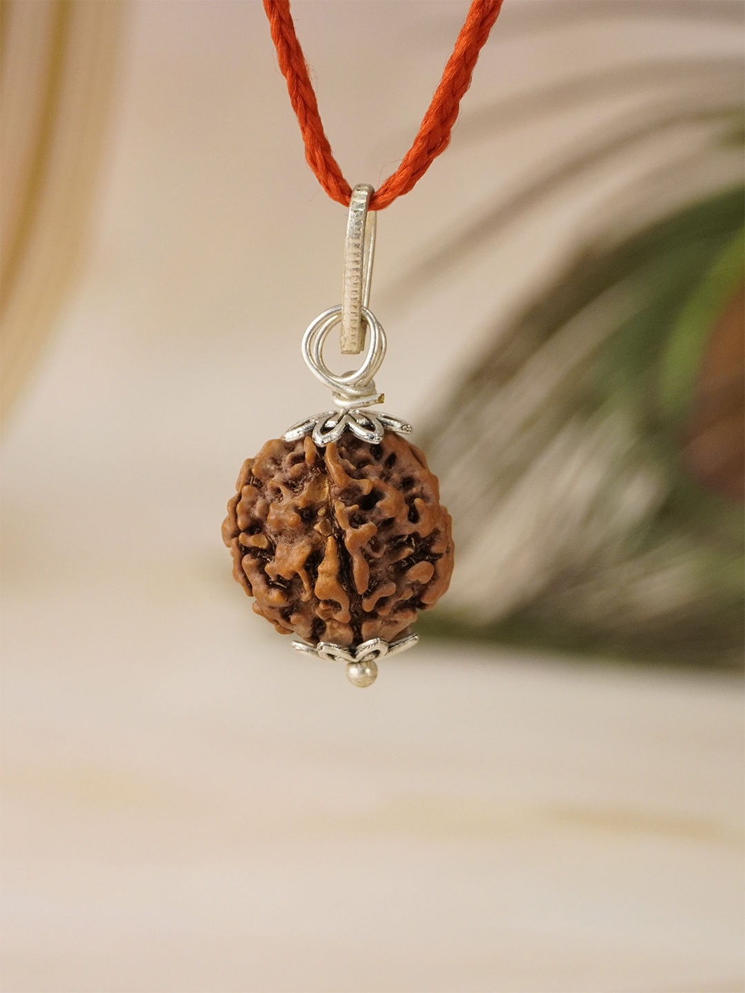 

Japam 5 Mukhi Nepali Rudraksha - Paanch Mukhi, Brown