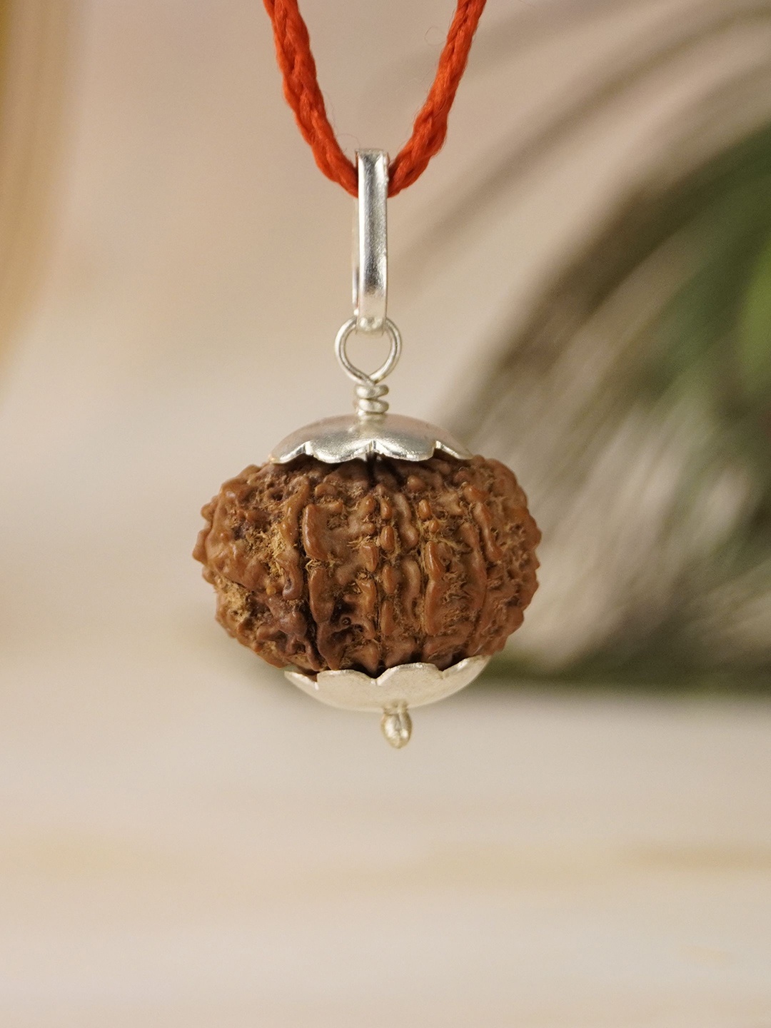 

Japam 10 Mukhi Nepali Rudraksha - Das Mukhi, Brown
