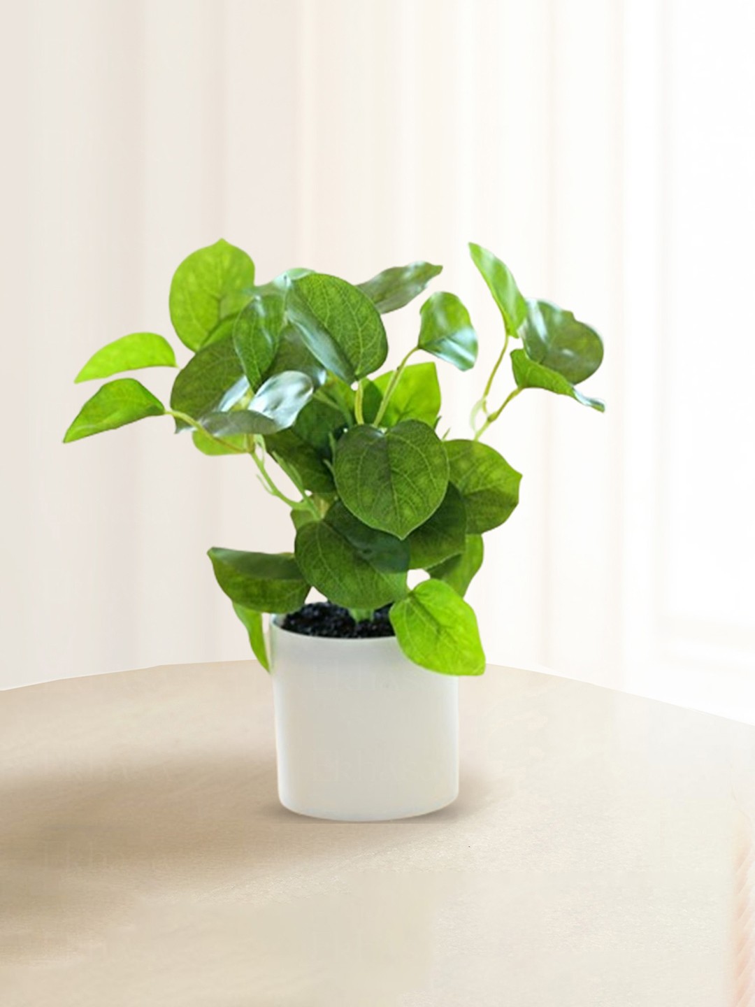 

Ekhasa Green 1 Pieces Fig Artificial Plant With Pot