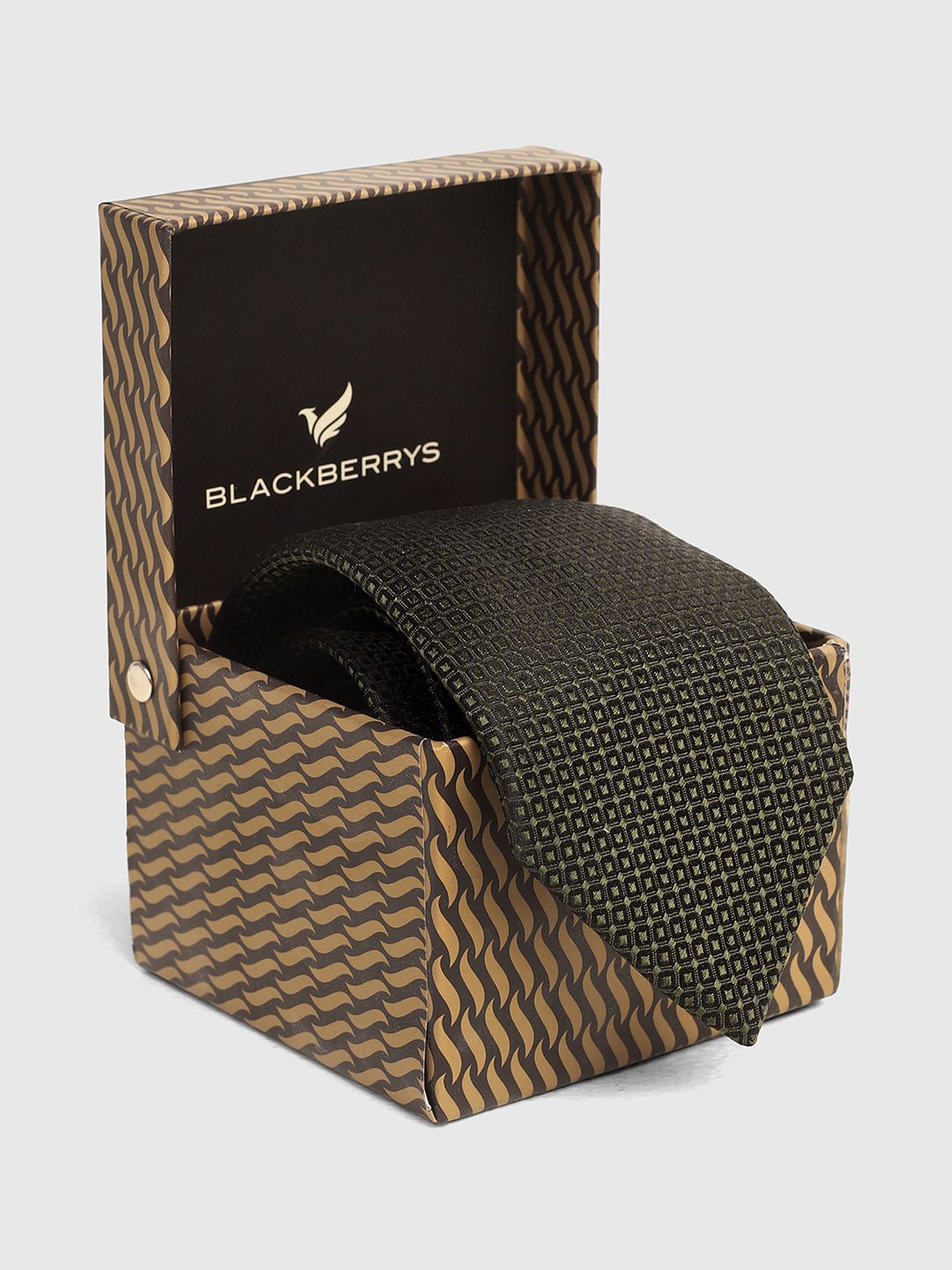 

Blackberrys Men Printed Broad Tie, Olive