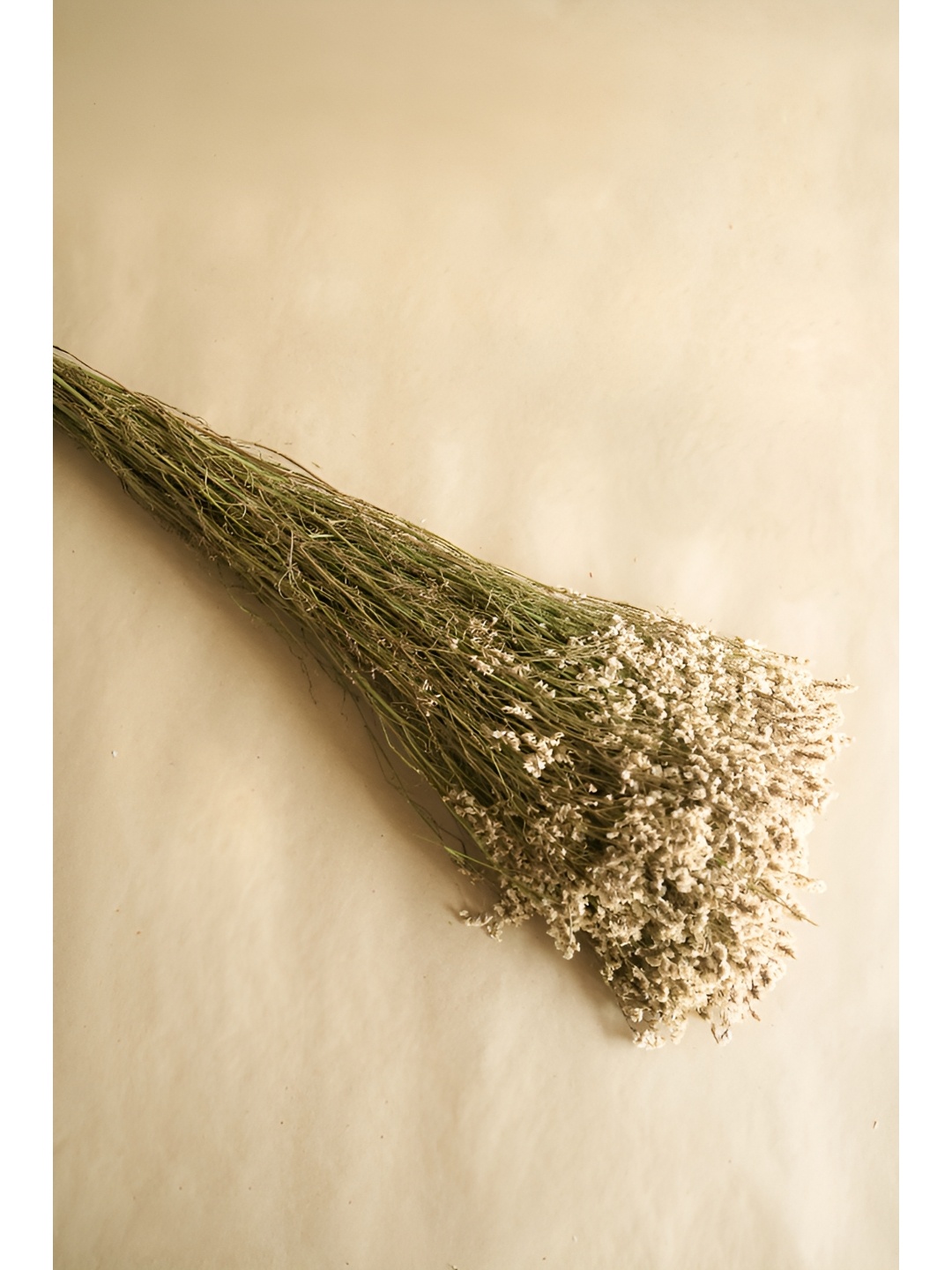

ArteCasa White 1 Pieces Grass Artificial Plant