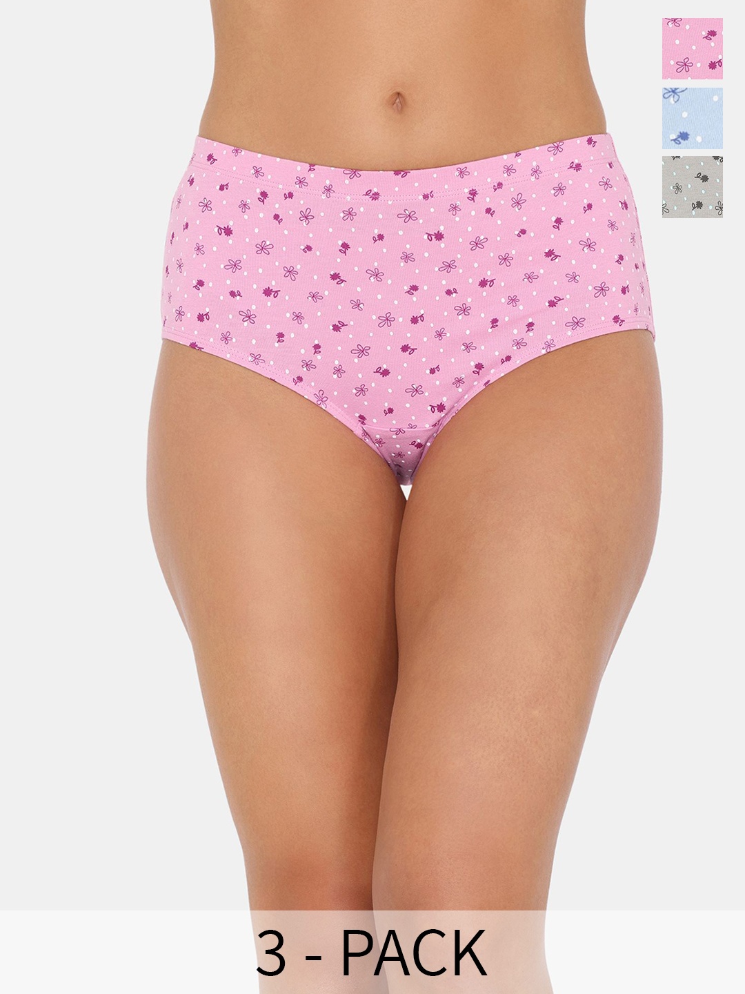 

Zivame Pack of 3 Anti Microbial Briefs- ZI28BFFASHASKIN, Blue
