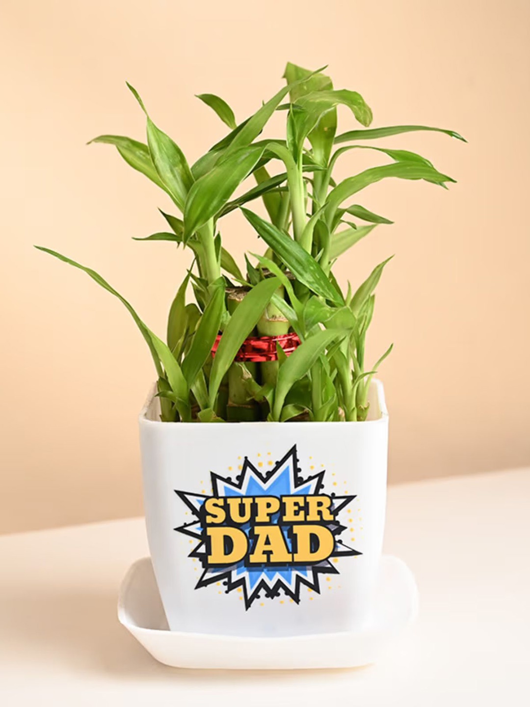 

Floweraura Indoor 2 Layer Bamboo Plant With Pot, Green