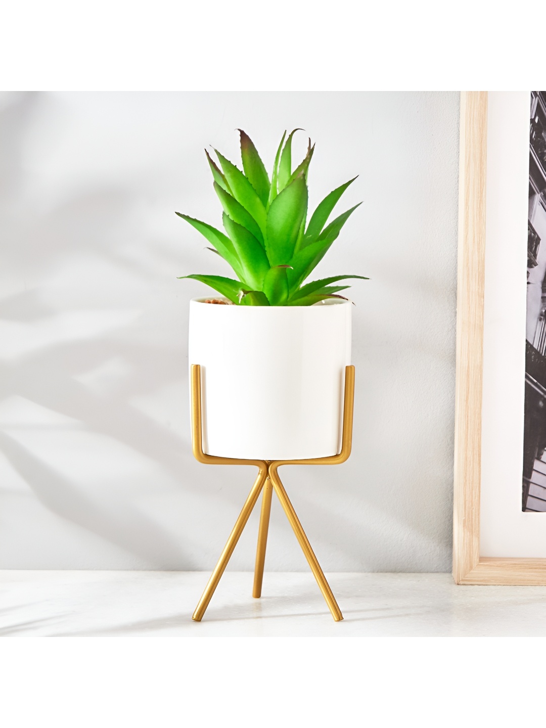 

Home Centre Fiesta White Ceramic Planters