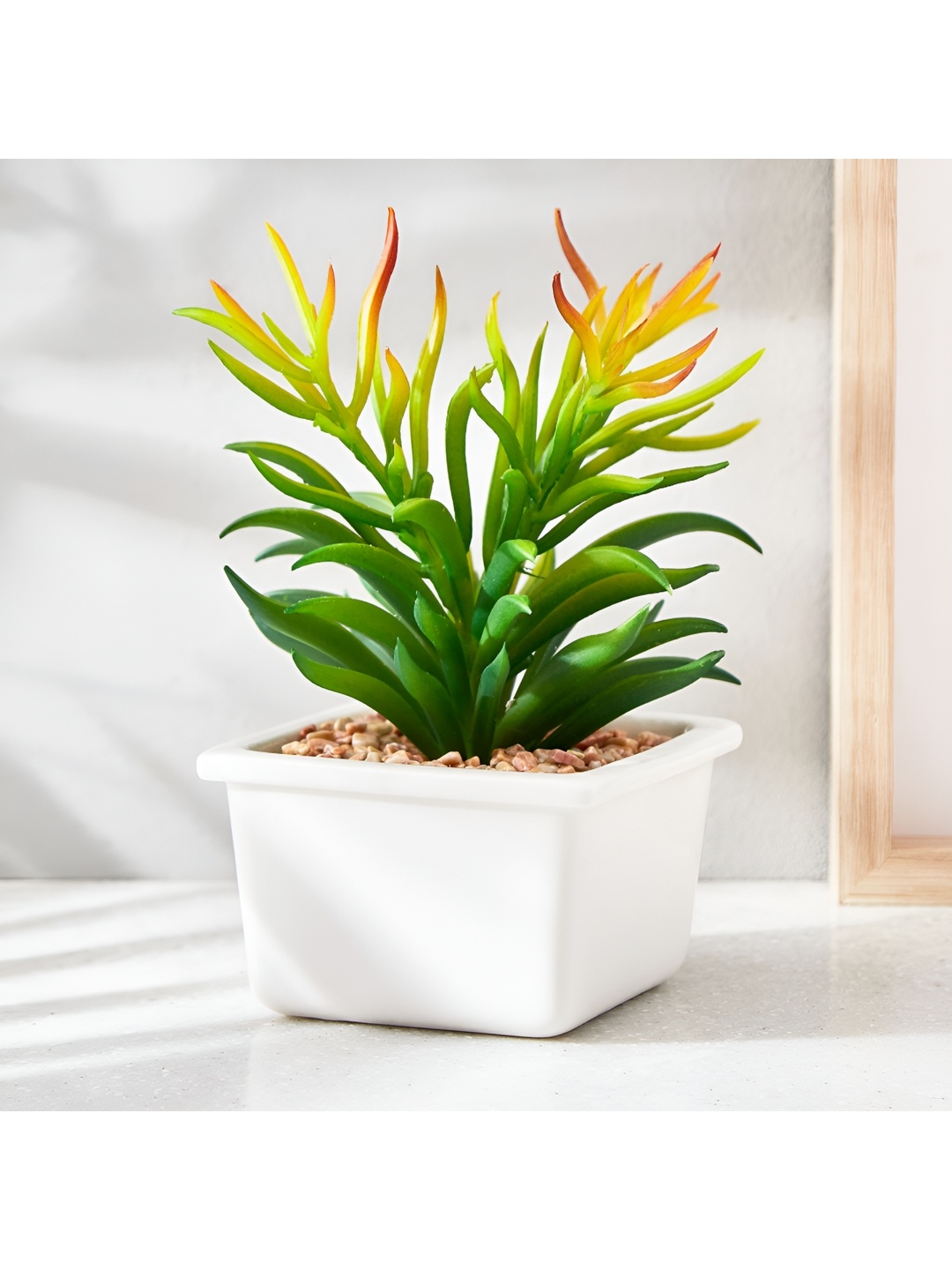 

Home Centre Fiesta White Ceramic Planters