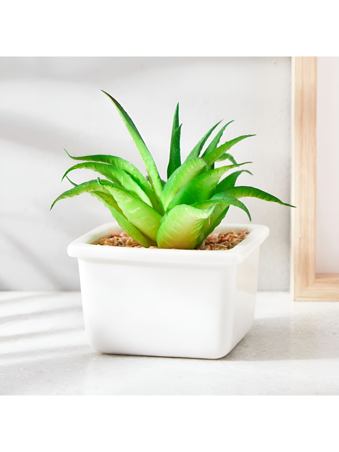 

Home Centre White Ceramic Planter