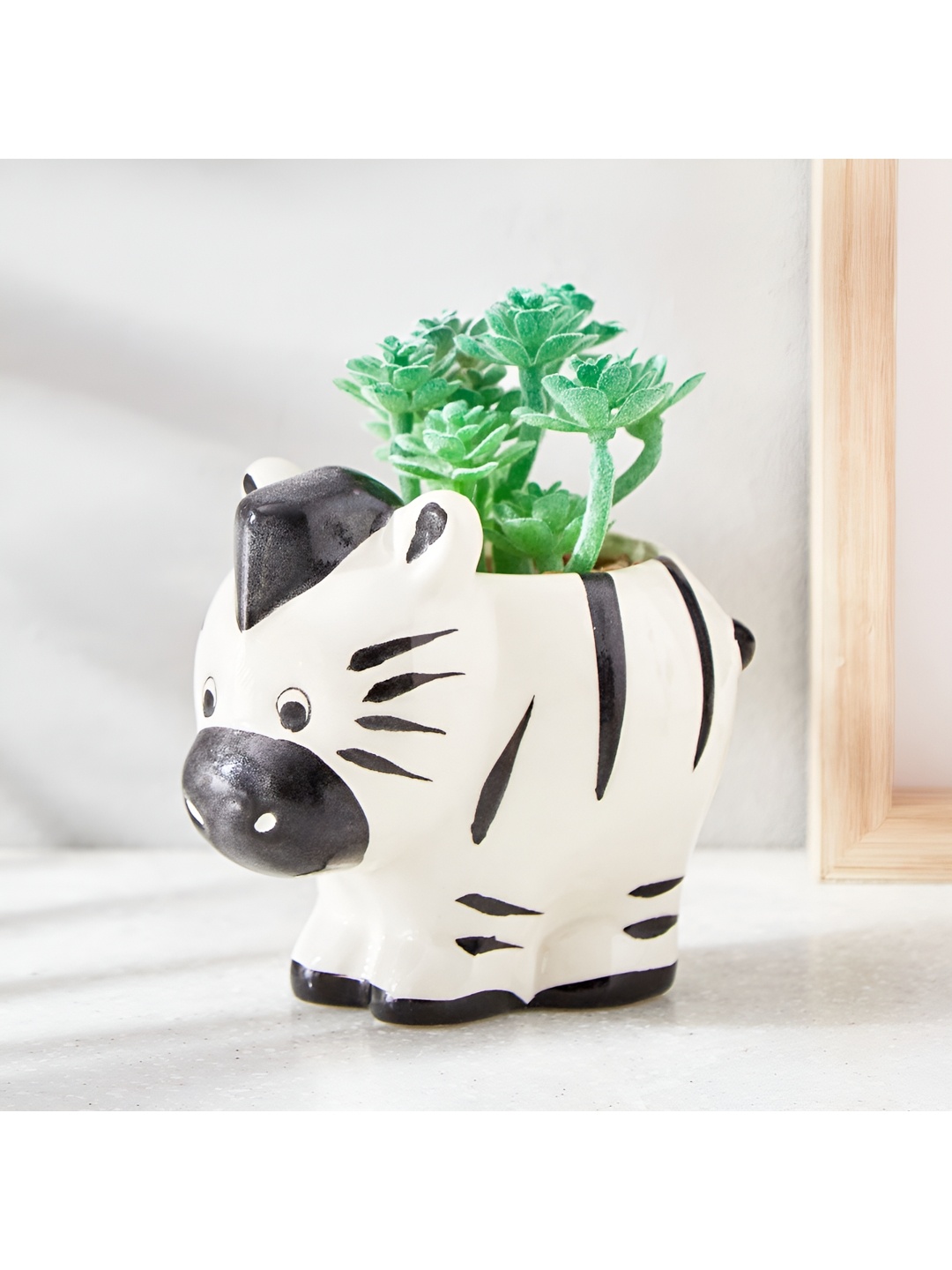 

Home Centre Fiesta Brown Printed Ceramic Planters, White