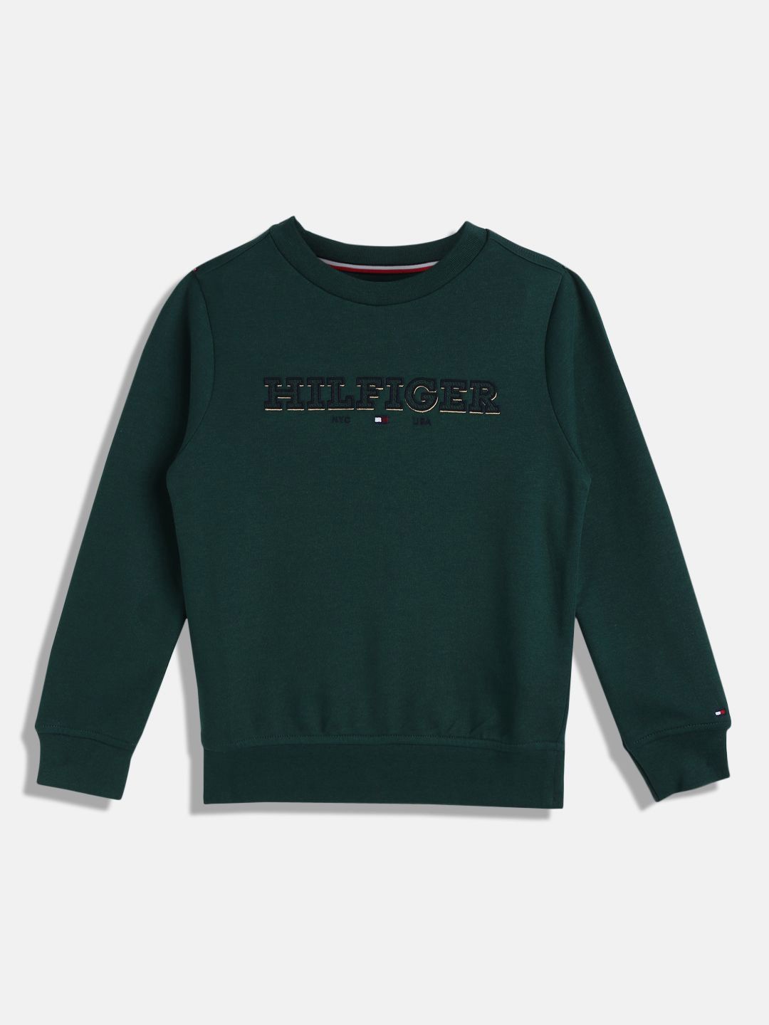 

Tommy Hilfiger Boys Sweatshirt, Green