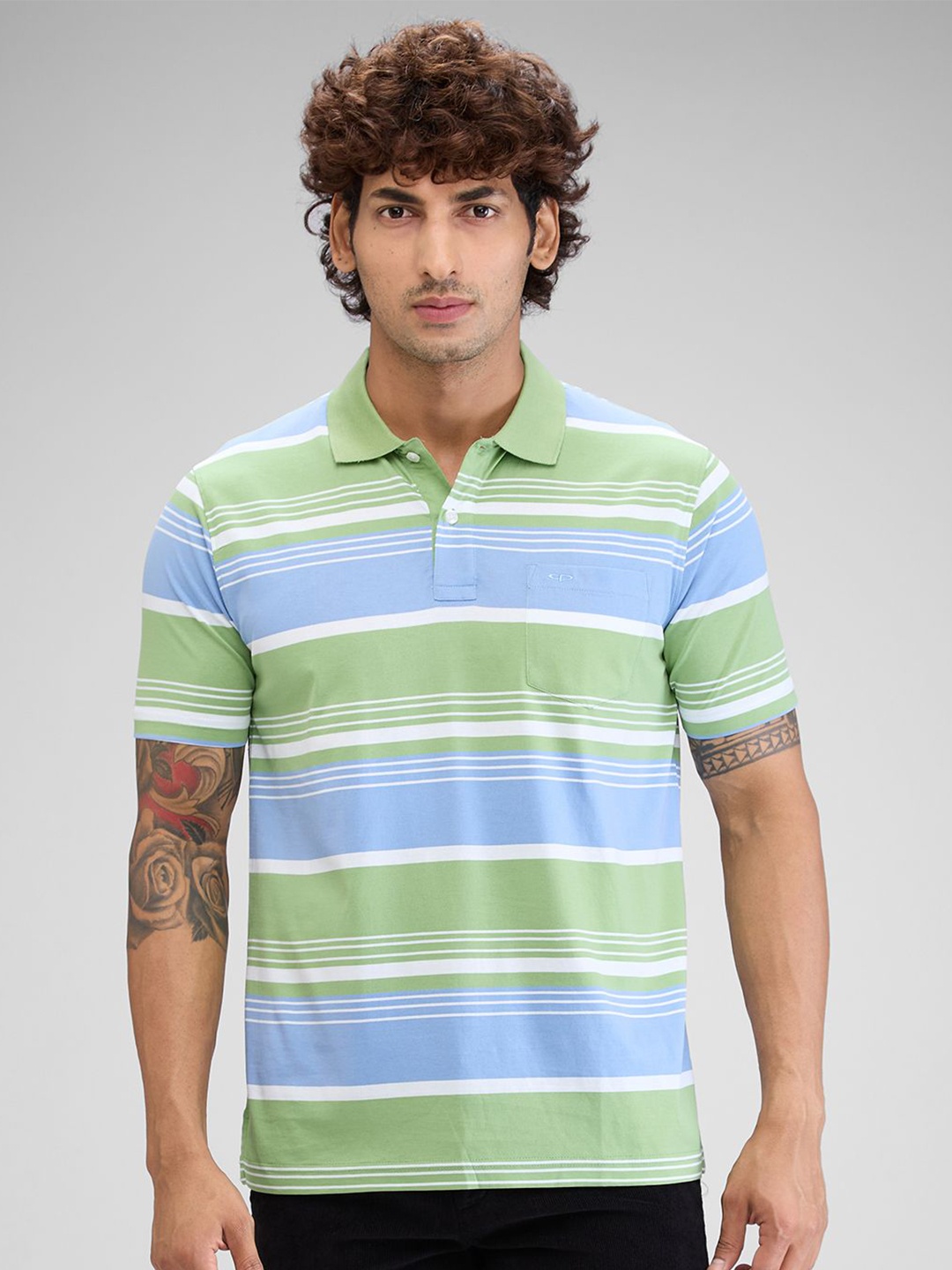 

ColorPlus Men Striped Polo Collar Pockets T-shirt, Green